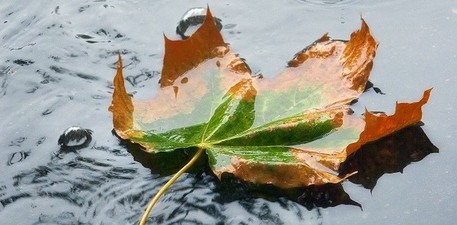 Exploitation des eaux pluviales