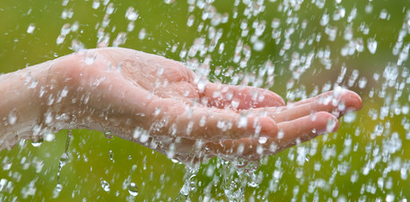 Umfragen Regenwasser