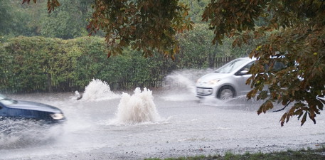 Marktbefragung Regenwasser 2020